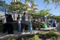 Students planting